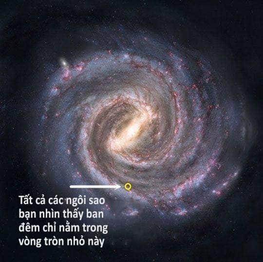 vitricuachungta21