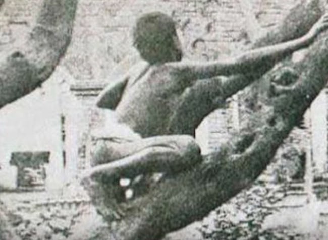 cauberungxanh5