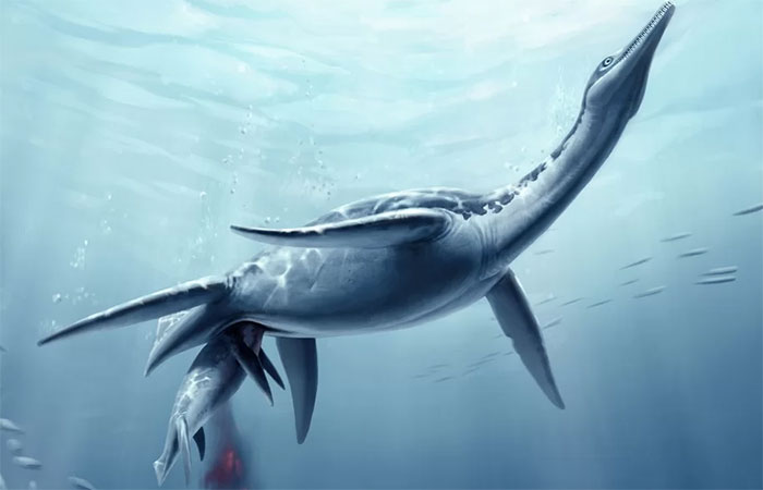Plesiosaur-co-dai