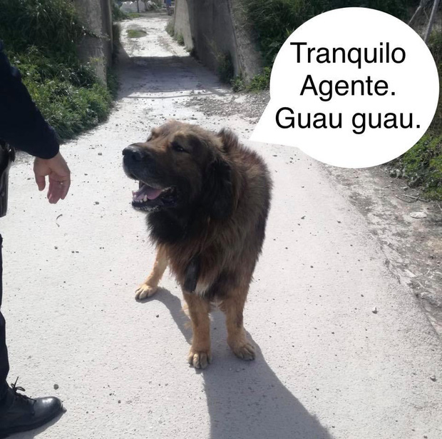 cho3